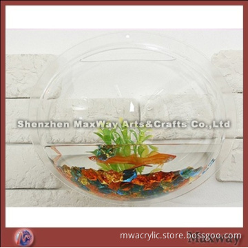 Clear Slatwall Fish Tank